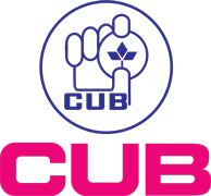 cube-logo cube-logo